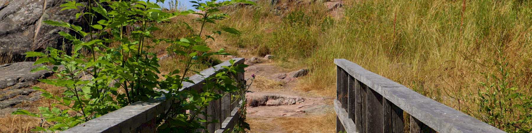 EETUn lausunto Digi- ja väestöviraston kansalaisneuvontaa koskevasta lainsäädännöstä