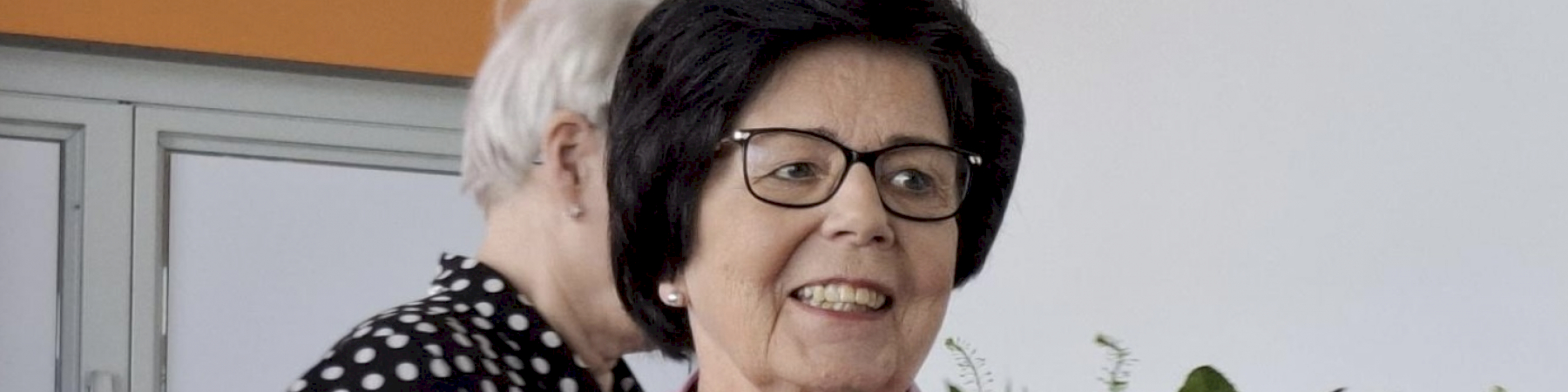 Hämeen piirin kevätkokous 8.4.2025 Hämeenlinnassa