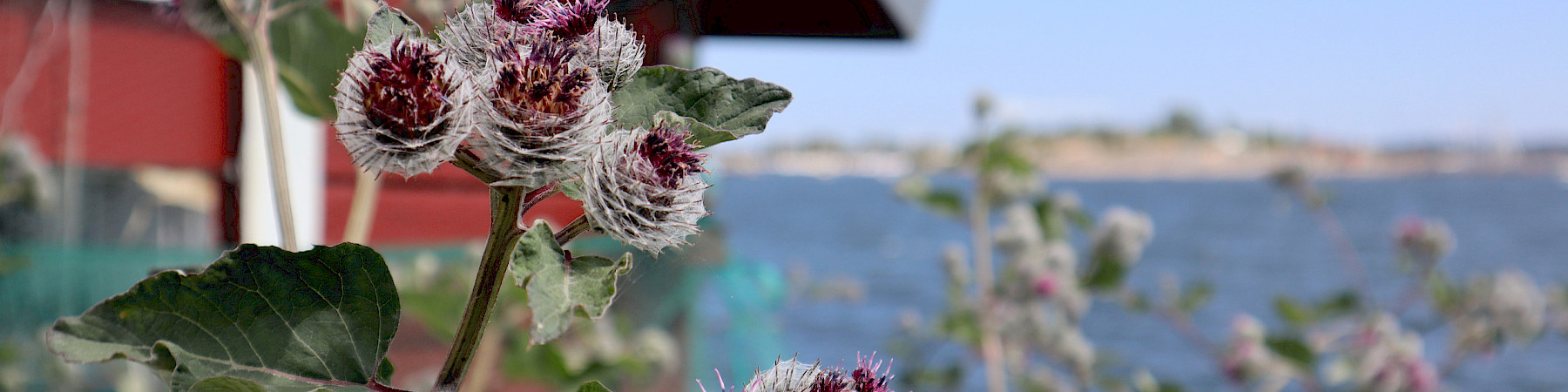 EETU ry: Leikkaukset vaarantavat sote-järjestöjen toimintakyvyn