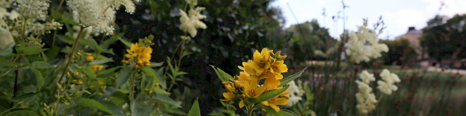 EETU lausui sähköistä tiedoksiantoa Verohallinnosta koskevasta lainsäädännöstä