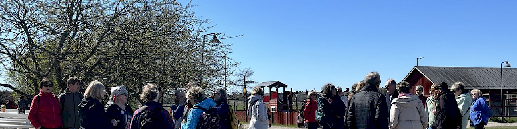 Helsingin senioripiiri: Yhdessä liikkeellä – hyvää oloa iäkkääseenkin arkeen