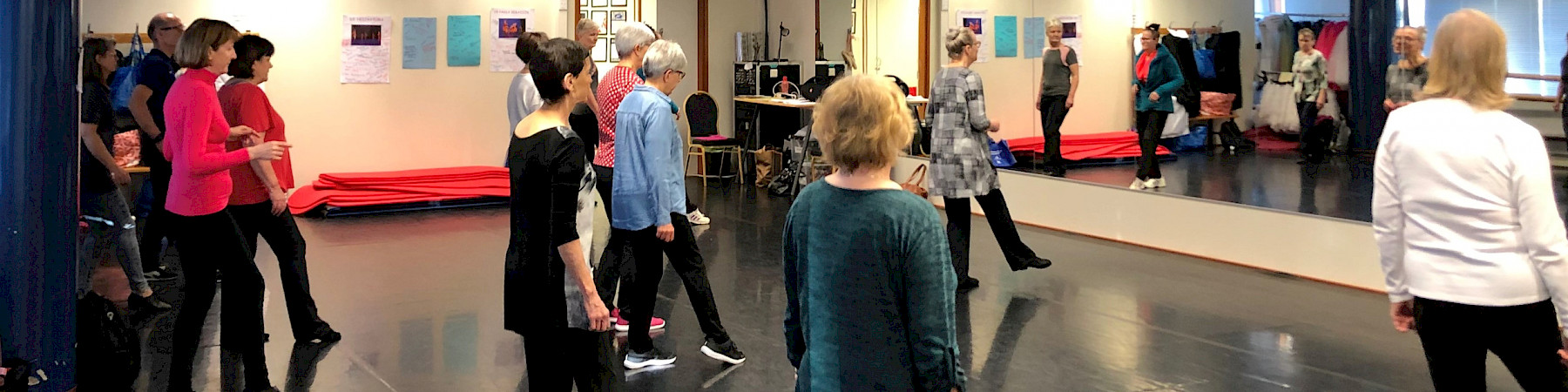 Erityisasiantuntija Hanna Falk: Vapaaehtoistoiminta uudessa elämänvaiheessa