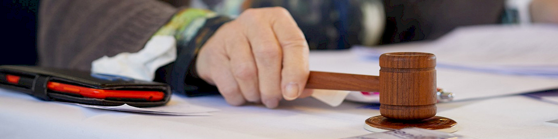 Puheenjohtaja Taina: oikeusasiamiehen roolia on vahvistettava