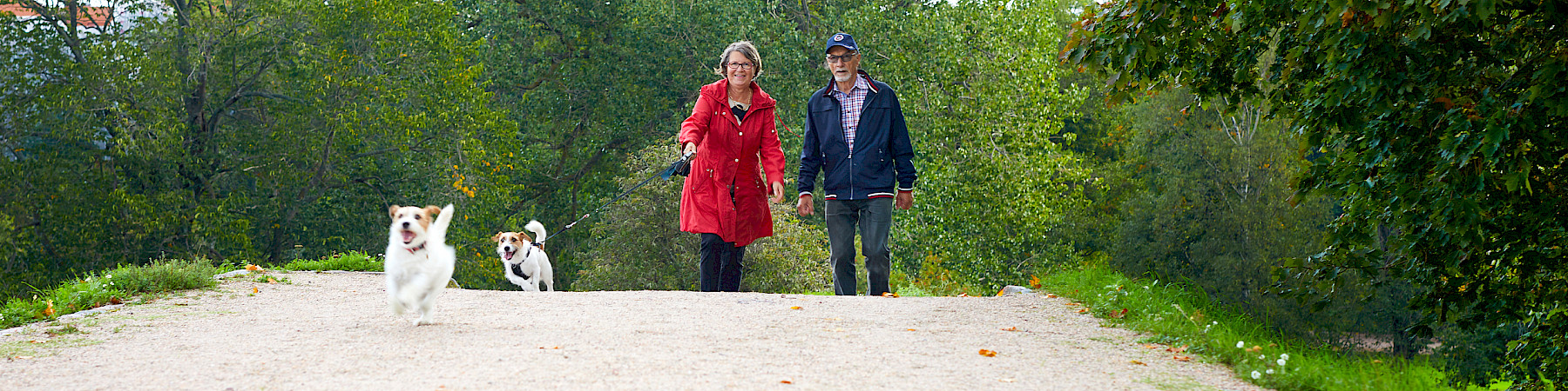 Älä jää paikoillesi – yhteiskunta  tarvitsee aktiivisia senioreita!