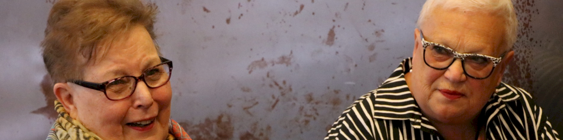 Senioriliitto koulutti Teams-vastaavia piireihin