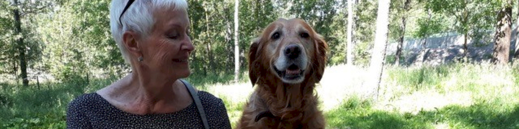 Seniorit tekevät yhä töitä eläkkeellä! Leena Tanner, Pekka Ketonen, Jouni Parkkali ja Raija Gemperlein kertovat, mitä työ merkitsee heille