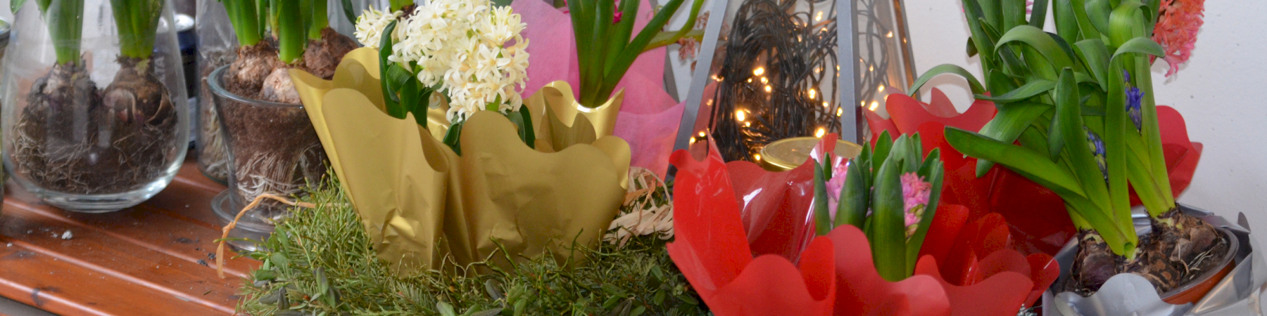 Saattohoitoa on parannettava kaikkialla Suomessa