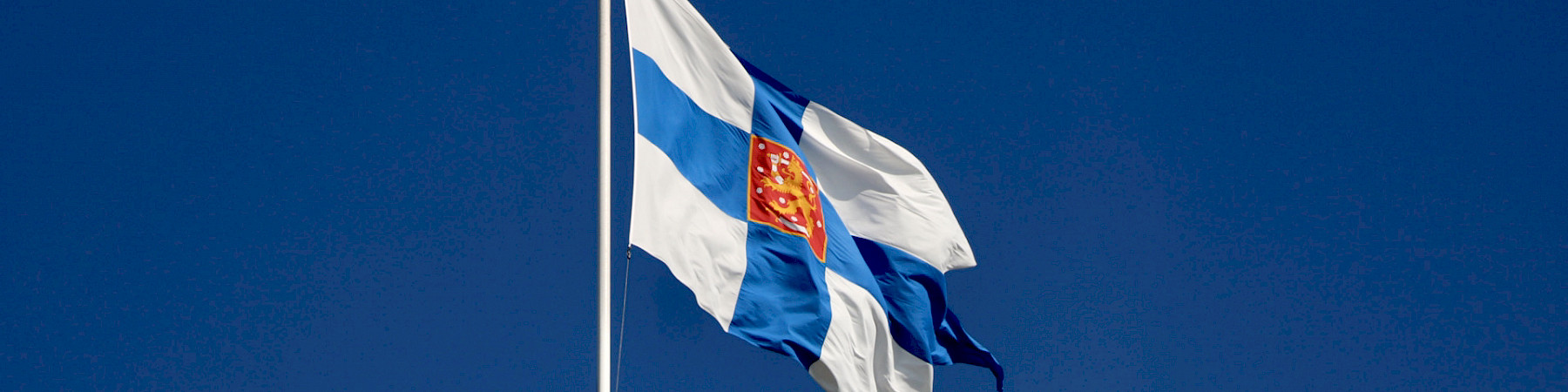 Hyvää ja isänmaallista itsenäisyyspäivää 2020!