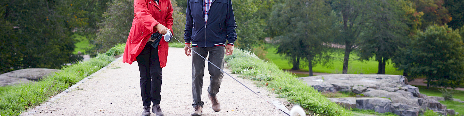 Senioriliitto on ottanut Kävelykipinä -haasteen vastaan