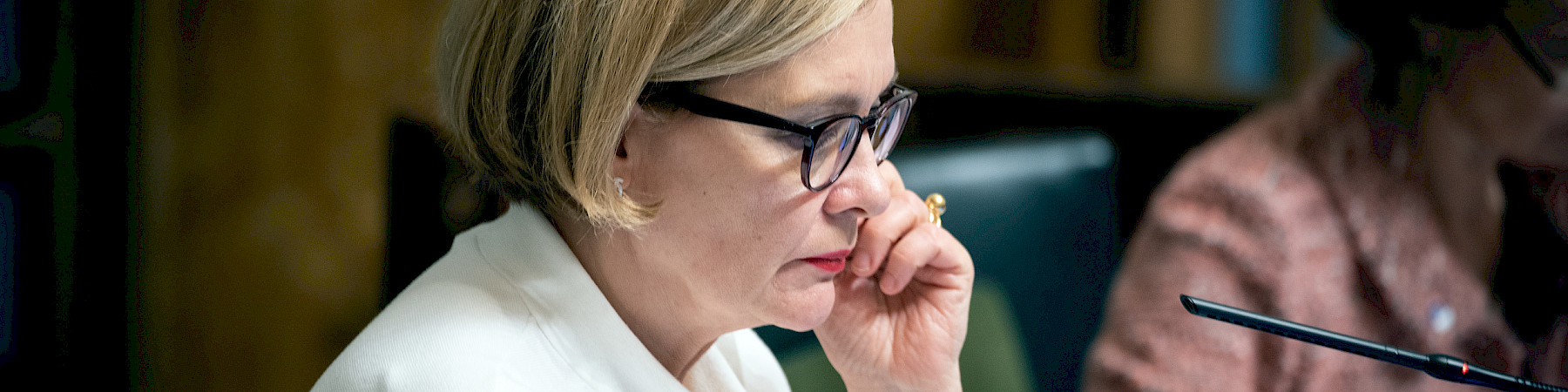 Verkko-Patina: Suomalaisella sisulla