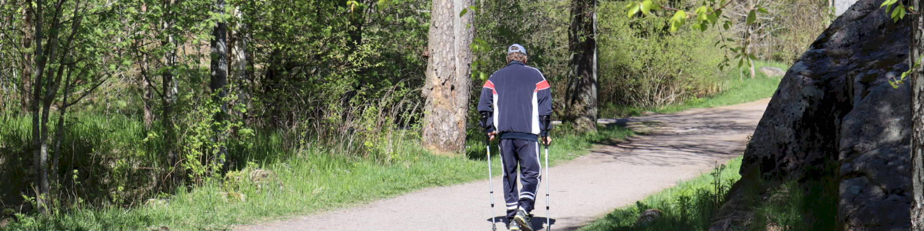 Senioriliiton lausunto kolmesta valtioneuvoston asetuksesta koskien eräiden tuotteiden ja palvelujen saavutettavuus- ja esteettömyysvaatimuksia