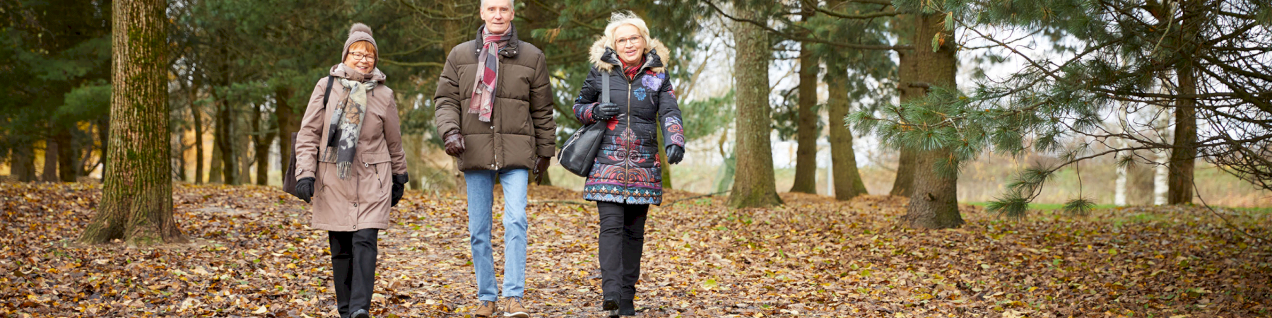 Senioriliiton lausunto ikäohjelmasta