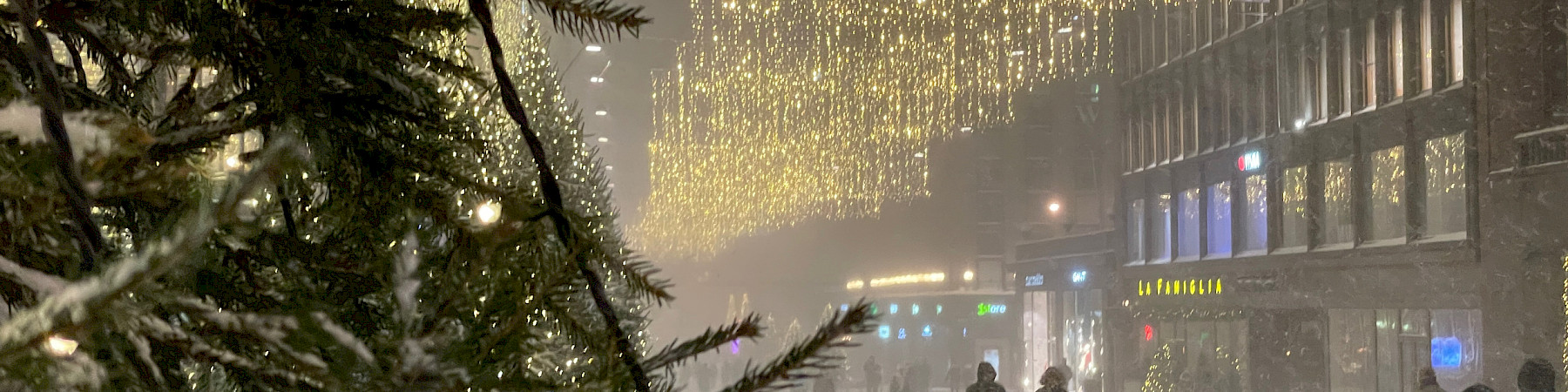 Senioriliiton toimisto joulutauolla 8.1.2023 asti!