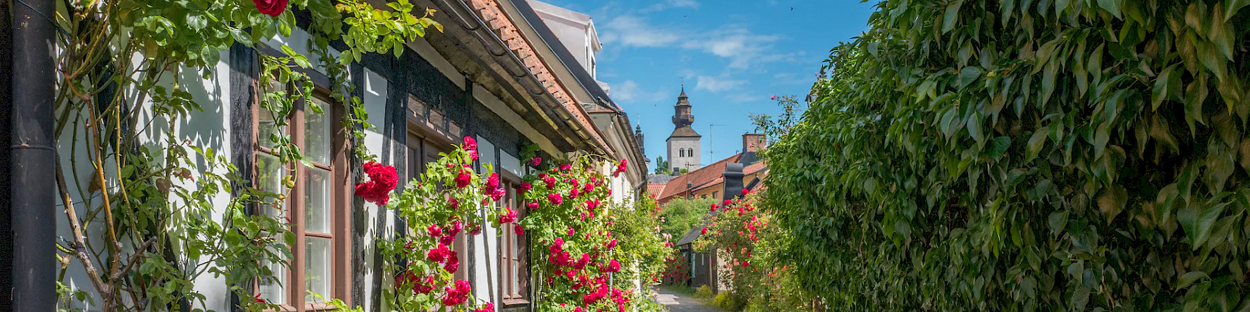 Odotettu Visbyn -risteily saatavilla: Patinan lukimatka ruusujen Visbyhyn 16.6.-18.6.2023