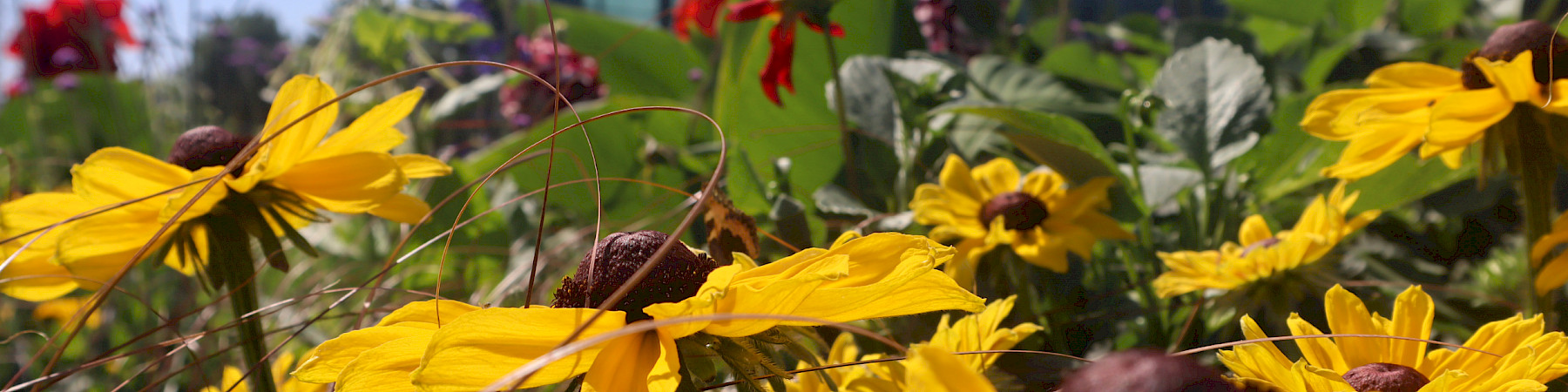 EETUn lausunto sosiaaliturvakomitean välimietintöön