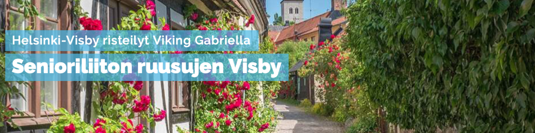 LOPPUUNMYYTY: Ruusujen Visby 14.6.-16.6.2024!