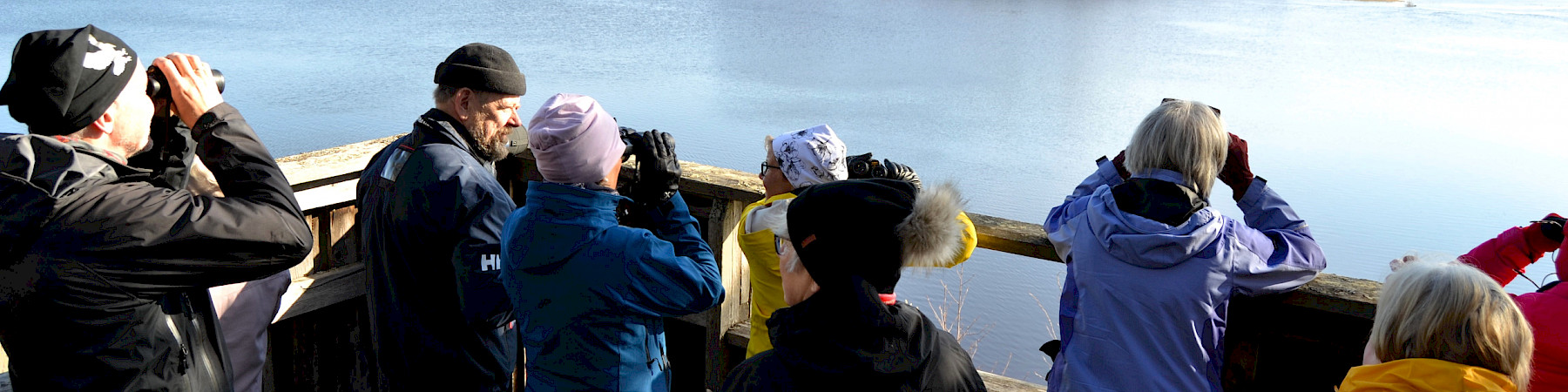 Merikarvian seniorit bongailemassa