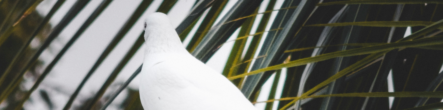 Kenen vieressä viimeinen leposijani on?