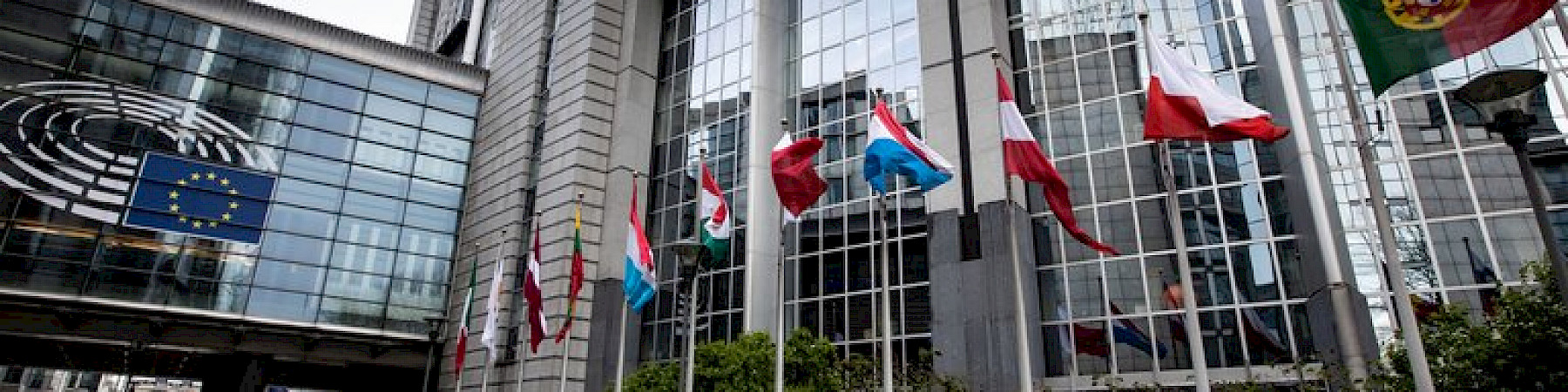 Senioriliiton vaalitavoitteet Euroopan parlamentin vaaleihin ja vaalikaudelle 2024–2029